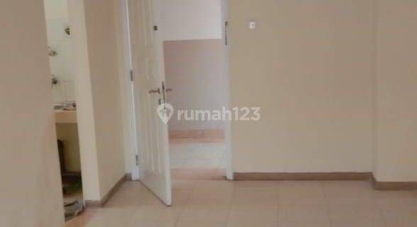 Di sewa Apartemen City Resort Taman Palem 1