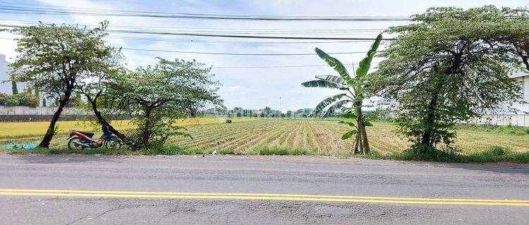 Tanah Industri Nol Jalan Raya Ngoro Mojosari, Dekat Ngoro Industrial Park 1