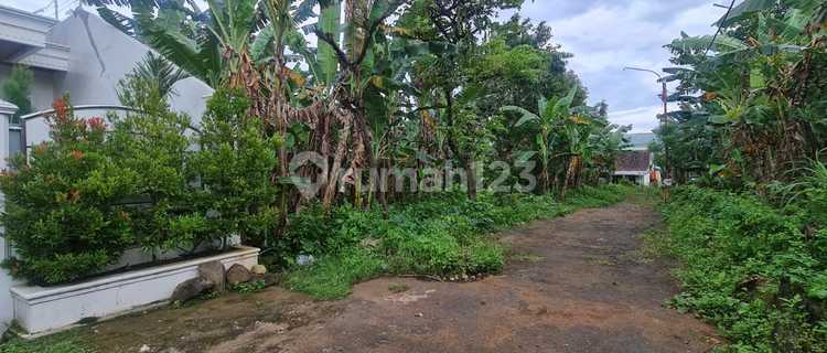 Dijual Tanah Di Salah Satu Perumahan Jl. Jangli Indah Semarang 1