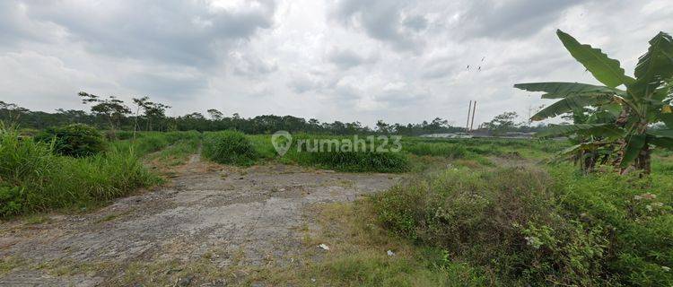 Dijual Tanah Siap Garap Dekat Jl Utama Jl. Getasan Salatiga 1