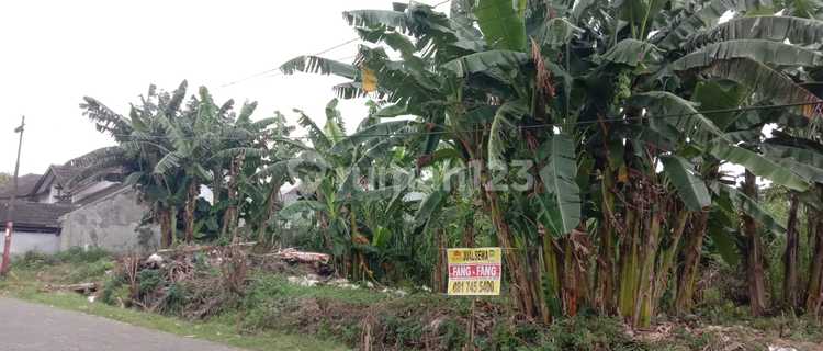 Disewakan Tanah Luas Lokasi Komplek Puri Anjasmoro Semarang 1