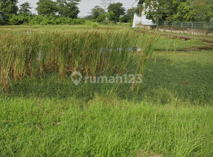 Tanah di Waruduwur Cirebon Luas 4000 M2  1