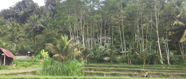 Kavling Luas di Villa Sidemen, Karangasem, Bali  1