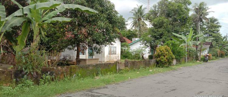 Tanah Geparang Luas di Purworejo Dekat Dengan Yia Kulonprogo  1