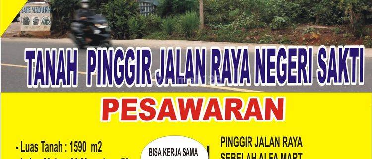 Tanah Pinggir Jalan Raya Negeri Sakti Dekat Dengan Banadarlampung 1