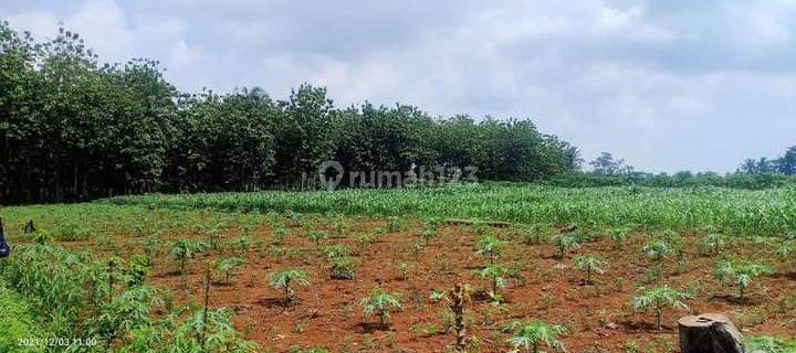 Tanah Murah Di Natar Cocok Untuk Rumah Subsidi 1