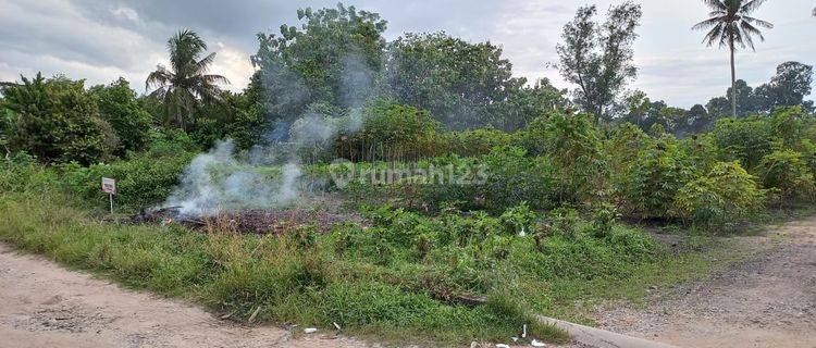 Tanah di Bandar Jaya Cocok Untuk Perumahan, Gudang Dan Sebaianya 1