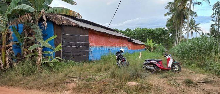 Tanah Lebar di Jati Agung Lampung Selatan Cocok Untuk Usaha Kandang Ayam 1