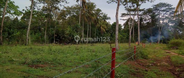 Tanah di Negeri Sakti Dekat Dengan Bandar Lampung Siap Bangun 1