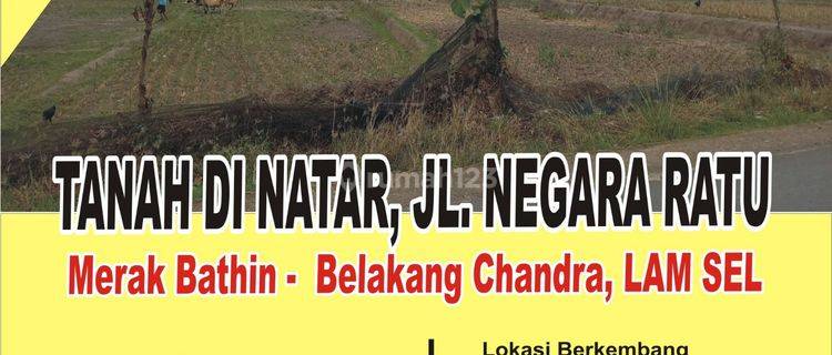 Tanah Lebar Dinatar Cocok Untuk Perumahan Subsidi 1