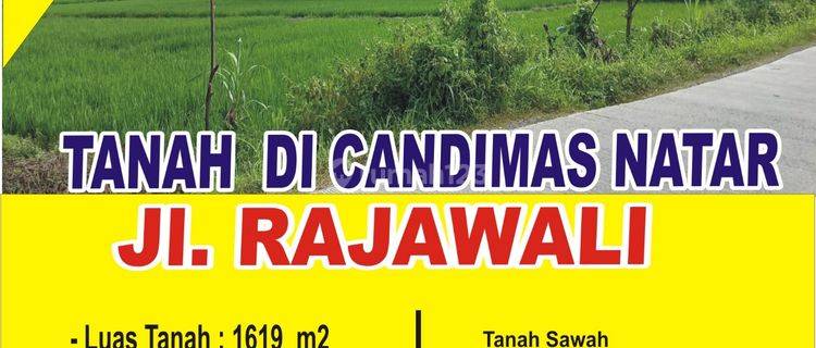 Tanah di Pinggir Jalan Candimas Natar 1