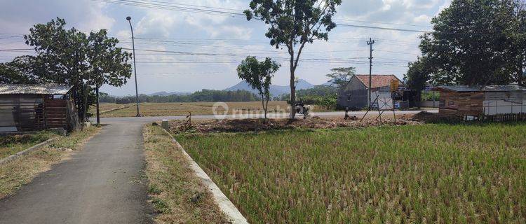 Dijual Tanah Hijau di Desa Menganti Banyumas  1