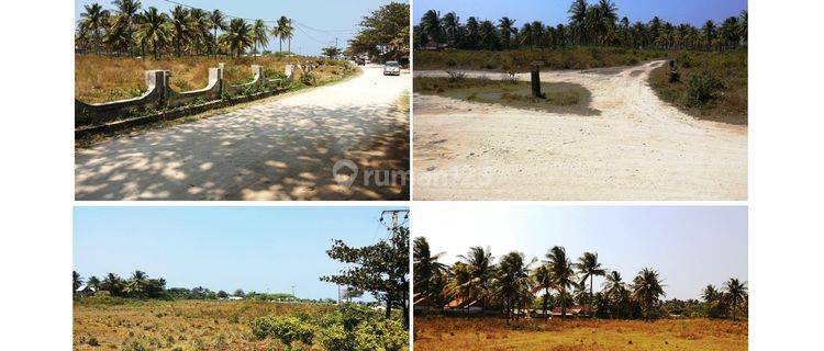 Tanah 7 Ha Sertifikat SHM di Bibir Pantai Ujung Genteng Sukabumi 1