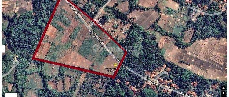 Jual Tanah SHM Permukaan Datar 6 Ha di Ciracap Sukabumi 1