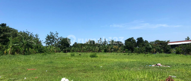Dijual Tanah Strategis Jalan Raya Sedati Agung Sidoarjo 1