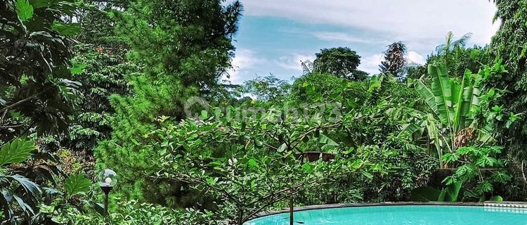 STRATEGIC NATURAL AMBIANCE HOUSE NEAR CINERE DEPOK TOLL ACCESS 1