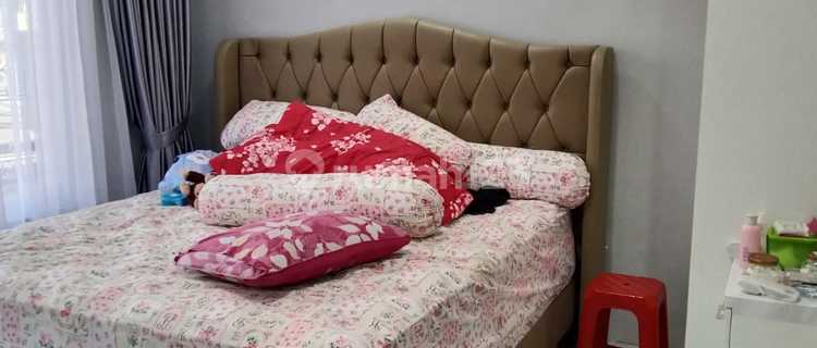 Below Market Value Cideng 10 X 24 Certificate of Ownership 1