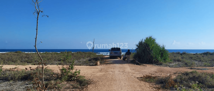 Dijual Kavling Best View di Kalala Beach , Sumba Timur, Nusa Tenggara Timur 1