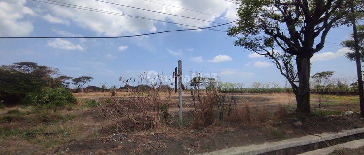 Tanah Industri Di Pinggir Jl. Raya Pangenan, Cirebon 1