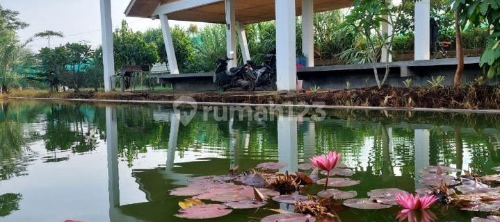 Villa asri, tenang, 20menitan ke Tol Seroja,Margahurip,Banjaran,Bandung 1