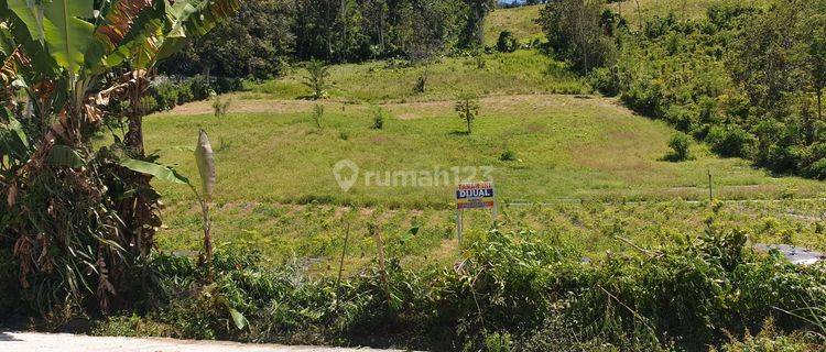 Tanah Kebun Di Sukau Lampung Barat 1