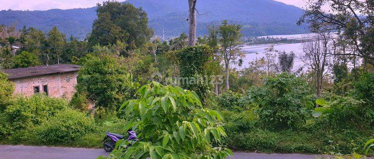 Tanah View Danau Ranau Dan Gunung Seminung Oku Selatan, Sumatera Selatan Sangat Cocok Untuk Bangun Cottage Atau Tempat Tinggal Atau Usaha Lain 1