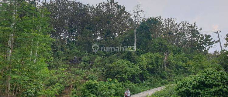 Tanah Kebun Jati 315 Batang Di Kota Batu Ranau Jalan Utama Menuju Wisata Air Panas Danau Ranau Dan Gunung Seminung Kab.oku Selatan Provinsi Sumatera Selatan 1