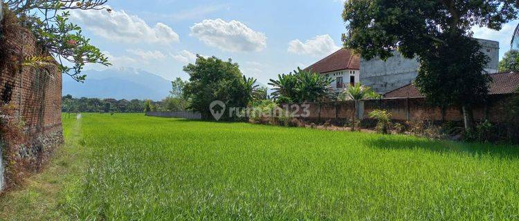 For Sale Cheap, Flat Land Beside the Road With Land Area of 7200 M2 in Jimbaran Bali, Strategic Location 1