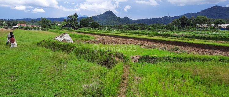 Tanah Subur Strategis View Bagus Jl Kabupaten Leuwiliang Bogor  1