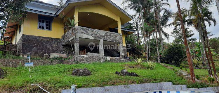 Villa Kebun Eksotik Jalur Wisata Gunung Salak Endah 1