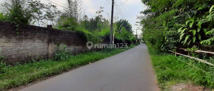 Tanah Komersial Strategis Desa Wisata Ciampea Dekat Kampus IPB 1