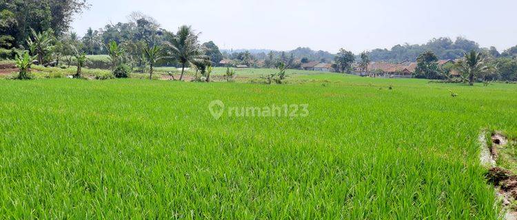 Tanah Subur Strategis Jl Gunung Bunder Dekat Wisata Gunung 1