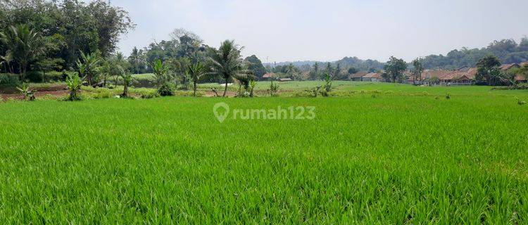 Tanah Subur View Bagus Untuk Pertanian Yayasan Villa Kebun 1