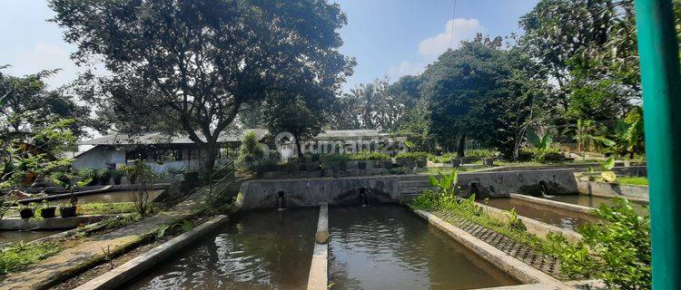 Tanah Villa Kolam Ikan Strategis Siap Pakai Depan Jalur Wisata 1