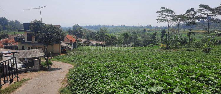 Tanah Murah Untuk Villa Dan Kebun di Bogor Luas 1000 M2 1