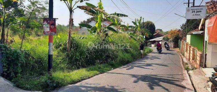 Tanah Bagus Dan Strategis Jalur Angkot Dramaga Bogor 1