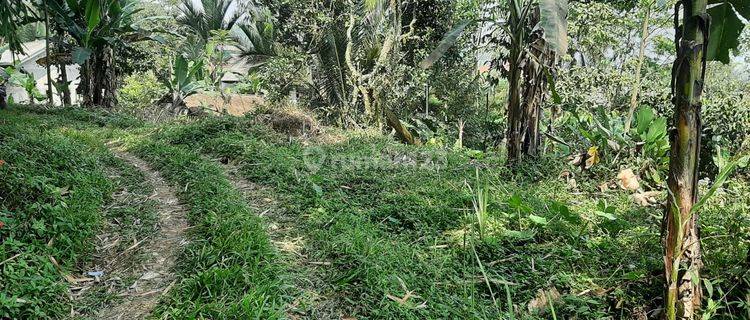 Tanah Murah subur suasana kampung Asri dan nyaman di Gunung Bunder Jalur Wisata Gunung Salak Endah Pamijahan Bogor 1