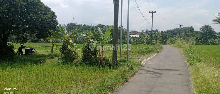 Tanah Subur Murah View Cantik dan Eksotik  Sumber air  Melimpah Jalur Wisata Gunung Salak Endah Bogor Gunung Picung Pamijahan 1