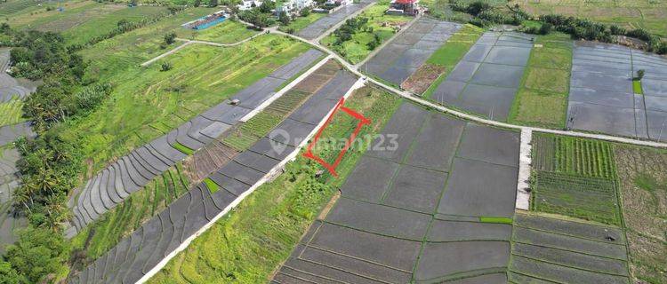 Land for rent 13.30 Are in Tabanan. 1