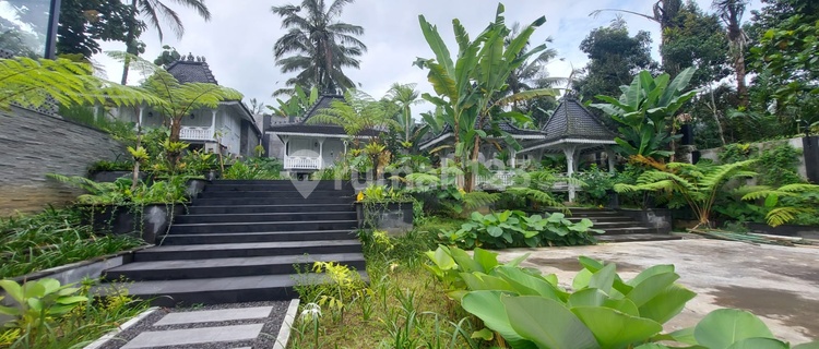 For sale or rent Joglo Villa, New Building, Large Yard in Payangan-Ubud, Gianyar 1