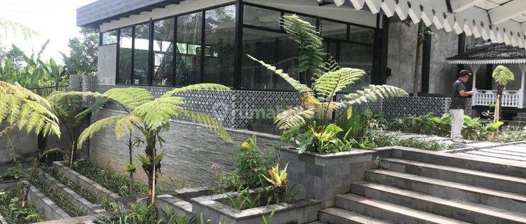 For sale or rent Joglo Villa, New Building, Large Yard in Payangan-Ubud, Gianyar 1