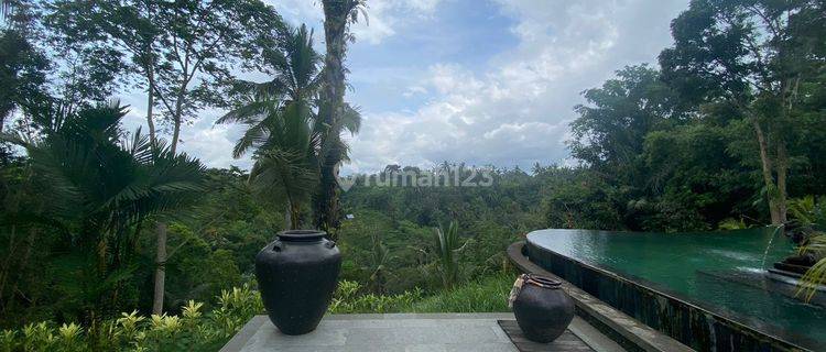 For Sale Large Villa Very Quiet Location in Ubud, Gianyar 1