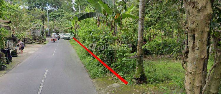 For Sale Land Strategic Location Suitable For Investment In Ubud 1