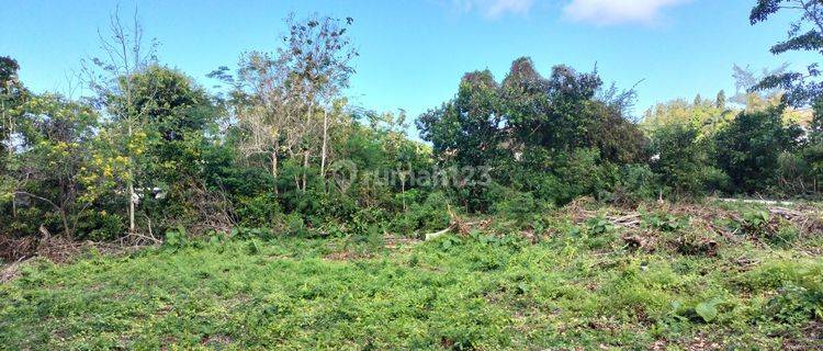 Disewakan Tanah Lokasi Straegis Cocok Untuk Villa di Ungasan 1