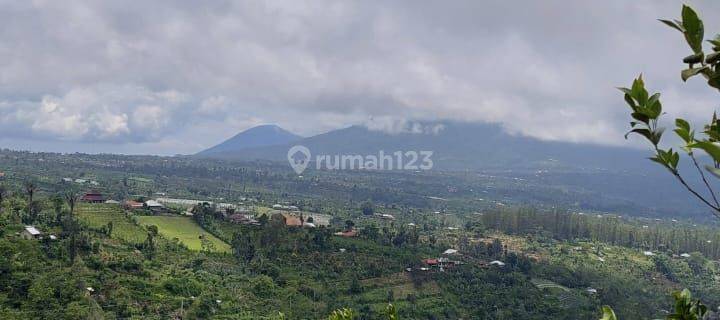 Dijual Tanah Lokasi Strategis di Penelokan Kintamani 1