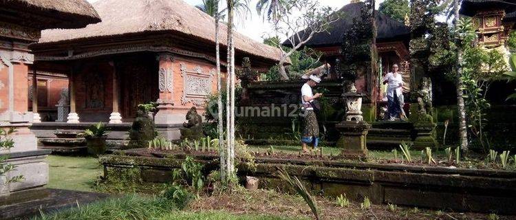 Dijual Tanah Bonus Bangunan Rumah Style Bali 1