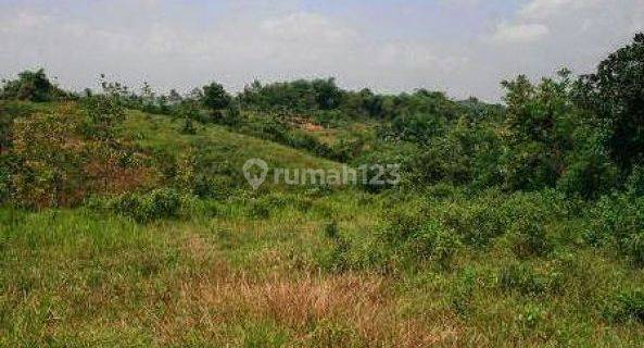 Tanah 10 Ha Dijual Bagus Untuk Perumahan Mewah 1