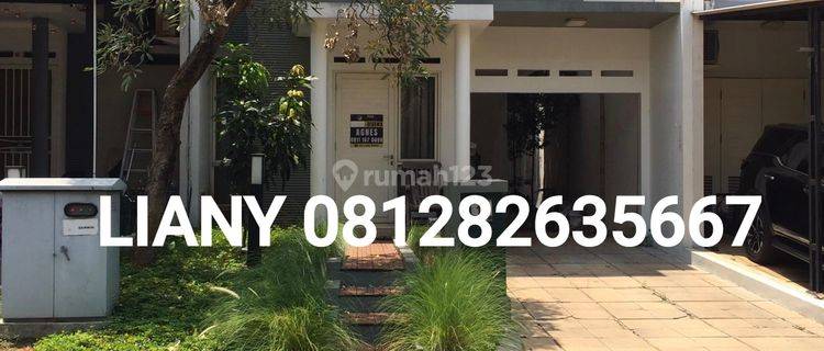 Disewakan Rumah Semi Furnish Di Cluster Darwin Gading Serpong  1