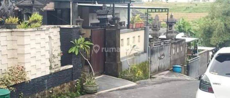 Dijual Rumah Second Lantai Satu Sading Mengwi 1