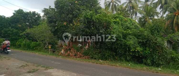 Dijual Tanah Kebud Tukad Daya Jembrana 1